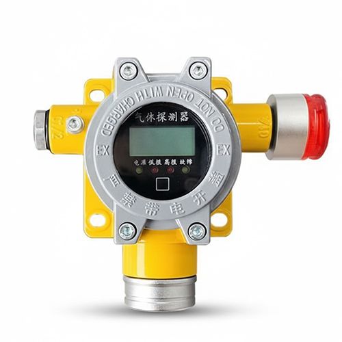 Gas Detectors