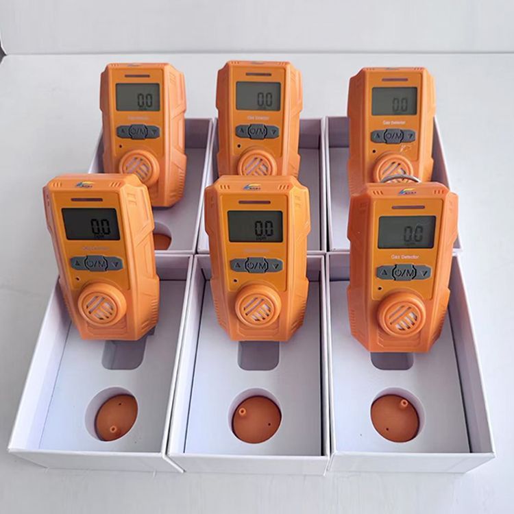 Portable Gas Detector